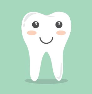 이를 건강하게 유지 관리하는 10가지 방법 알아보기(치아, 이, 이빨)